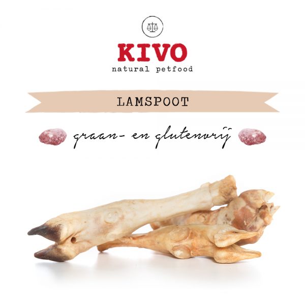 Lamspoot 3 stuks