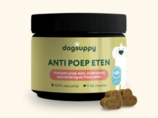 Dogsuppy anti poep eten