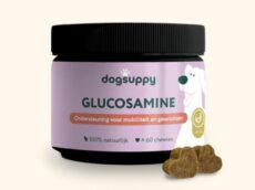 Dogsuppy Glucosamine (60 tabletten)